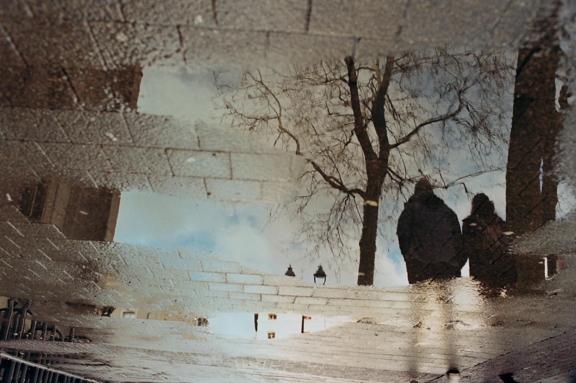 欧州議会、デジタルユーロを支持！EAへの影響は？