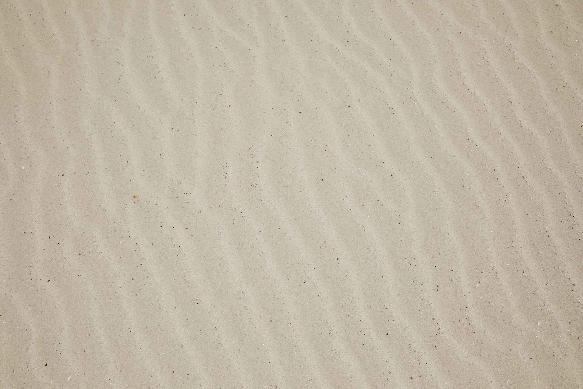 BlackRock、新興仮想通貨ETFは戦略外？EAトレーダーへの影響