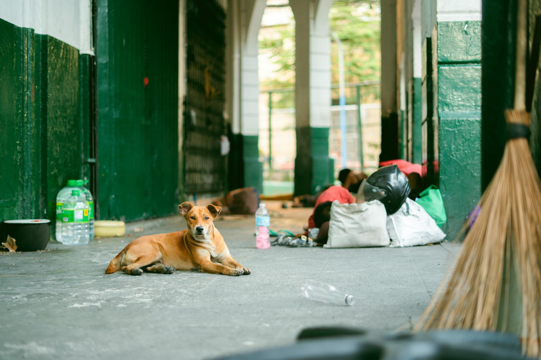 ホルムズ海峡の混乱とEA運用への影響｜初心者向け解説