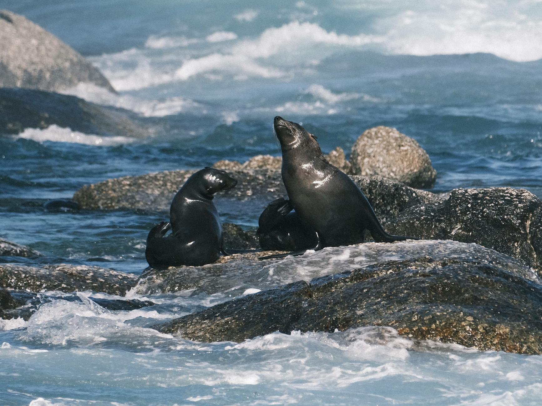 海外FXと国内FXの違い｜どっちが有利？7項目で比較